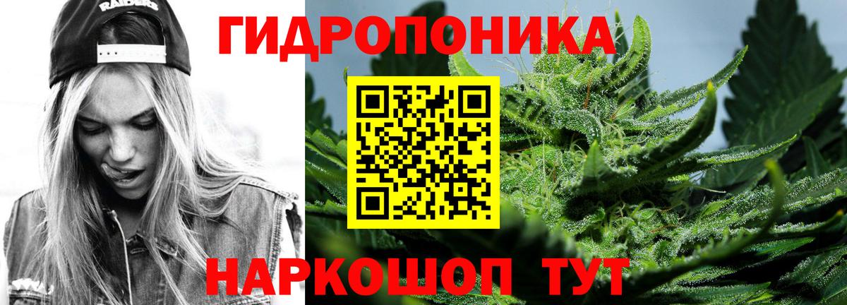 Бошки Шишки Ganja  Бошки марихуана THC 21%  Канабис марихуана  Вход с VPN  Каннабис марихуана  Мирный 